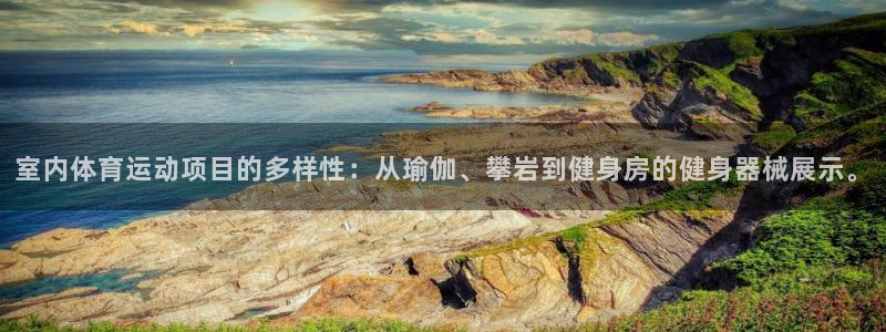 室内体育运动项目的多样性：从瑜伽、攀岩到健身房的健身器械展示。