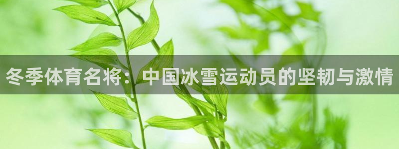 冬季体育名将：中国冰雪运动员的坚韧与激情